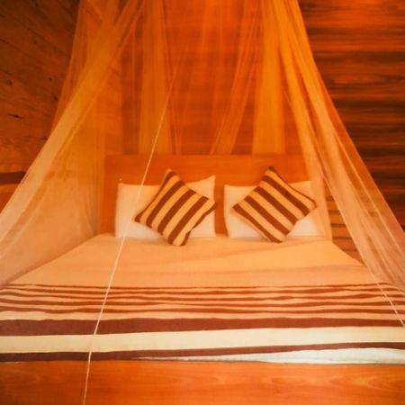 Talblick Homestay Ella Ngoại thất bức ảnh