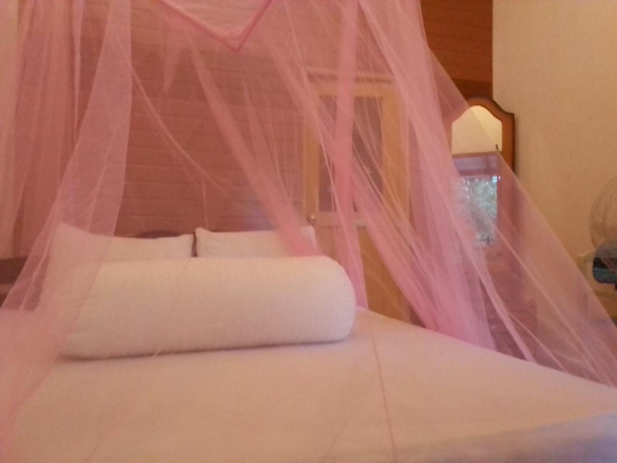 Talblick Homestay Ella Phòng bức ảnh