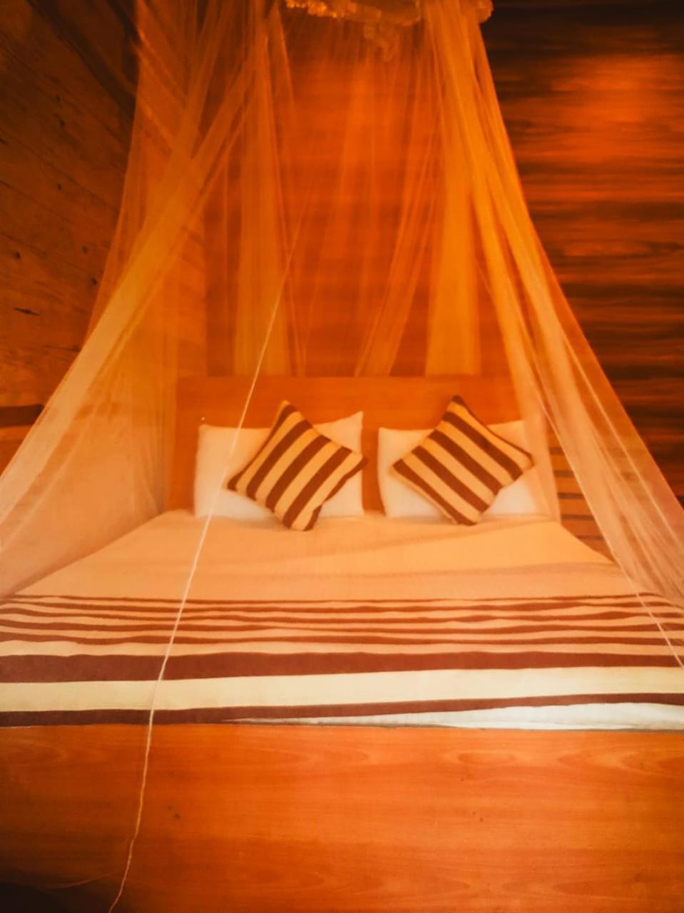 Talblick Homestay Ella Ngoại thất bức ảnh