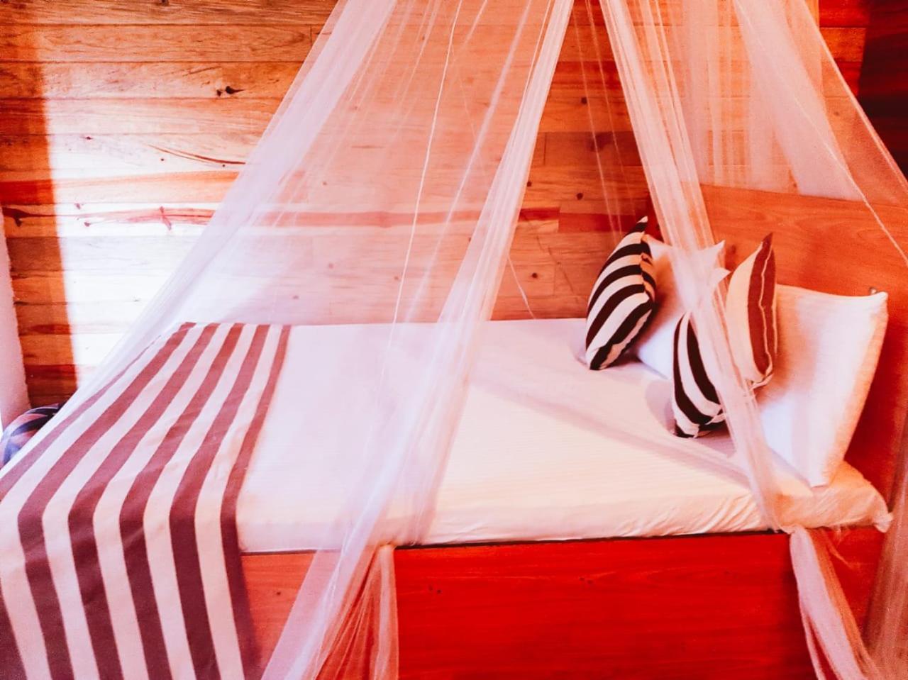 Talblick Homestay Ella Ngoại thất bức ảnh